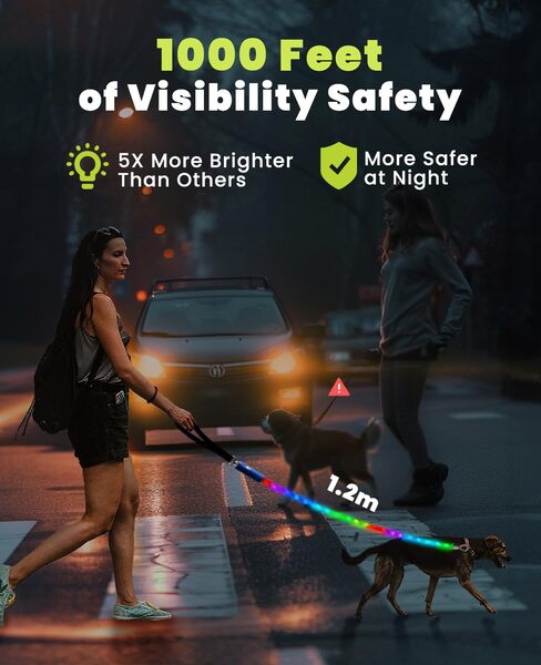 Luminous dog leash